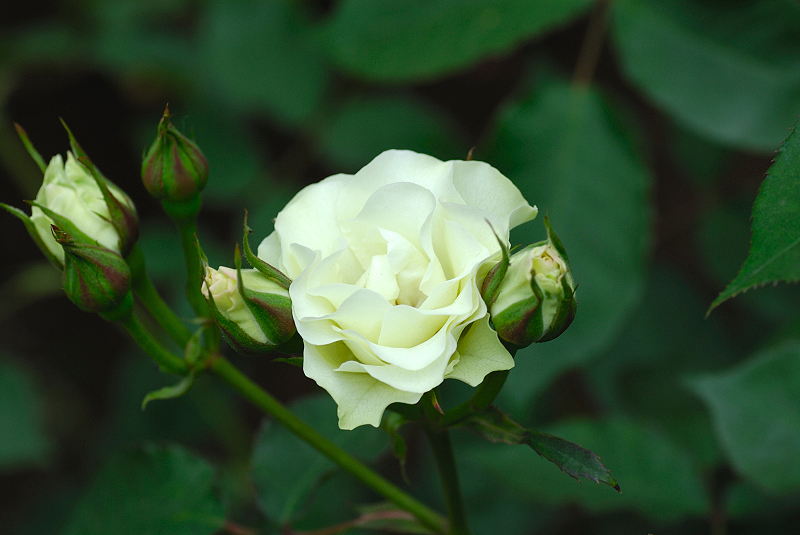 image0154