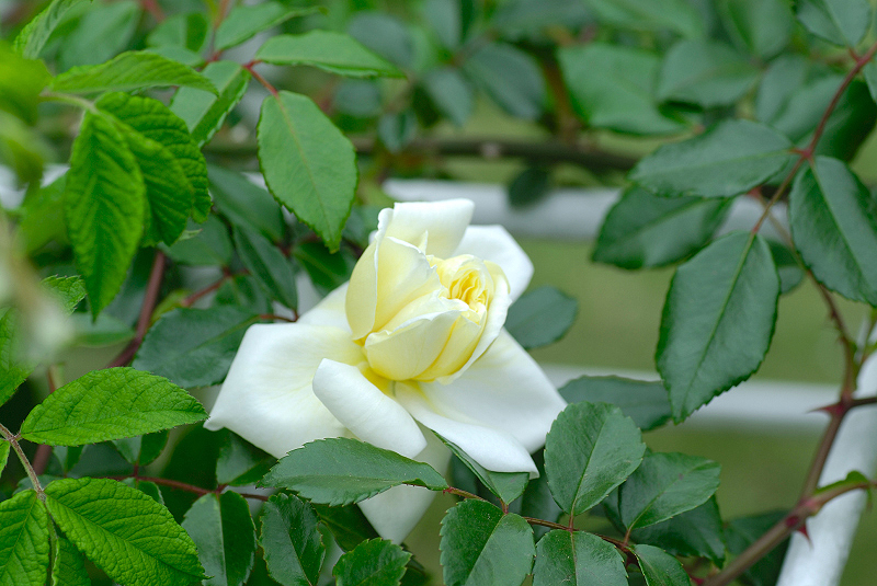 image0157
