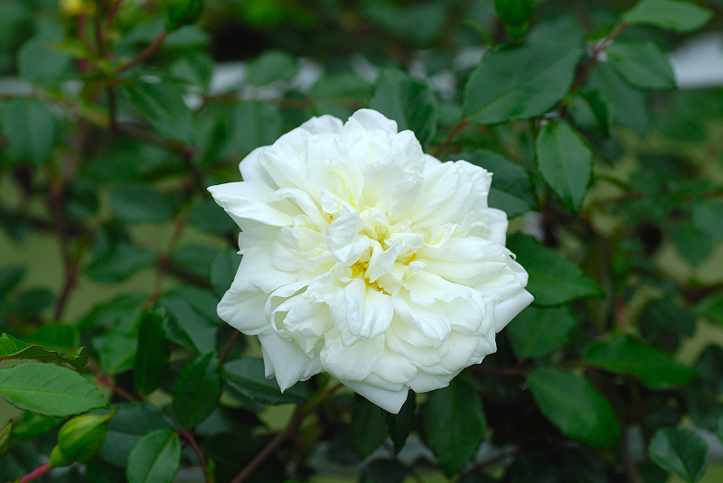 image0159