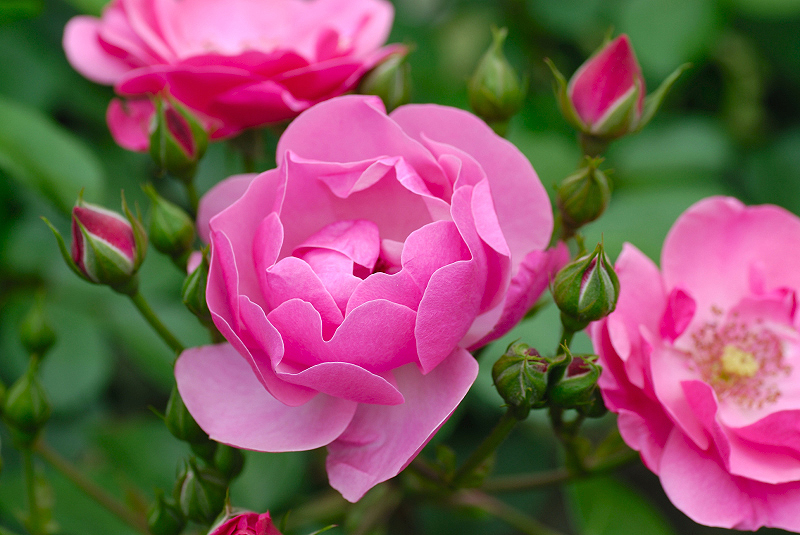 image0161