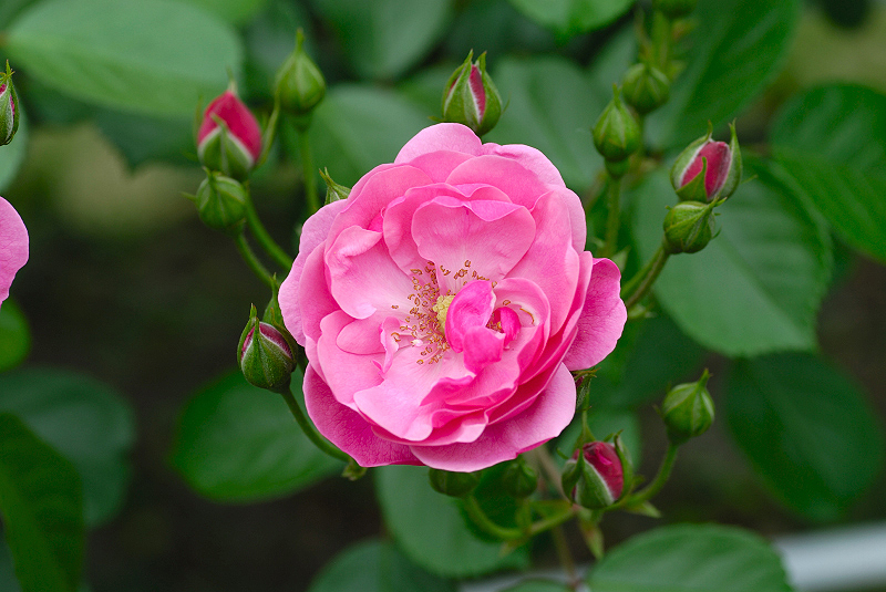 image0163