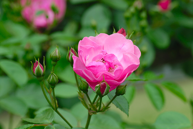 image0164