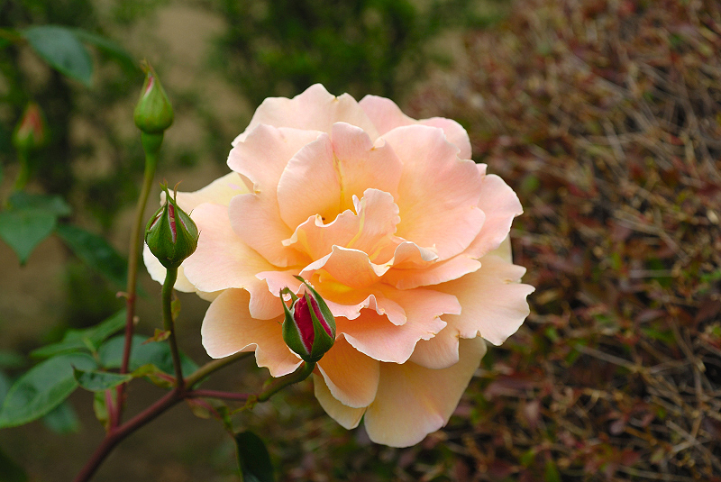 image0166