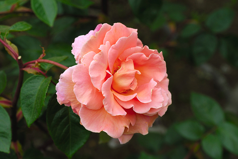 image0167