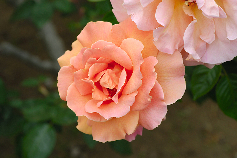 image0168