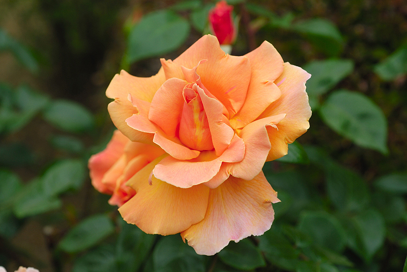 image0169