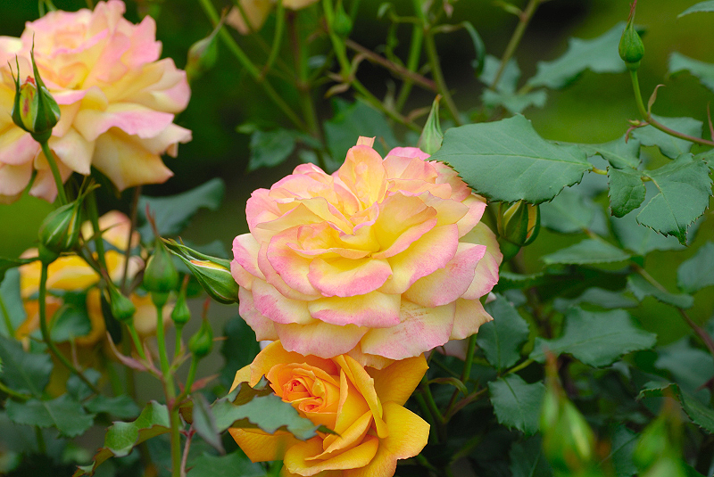 image0180