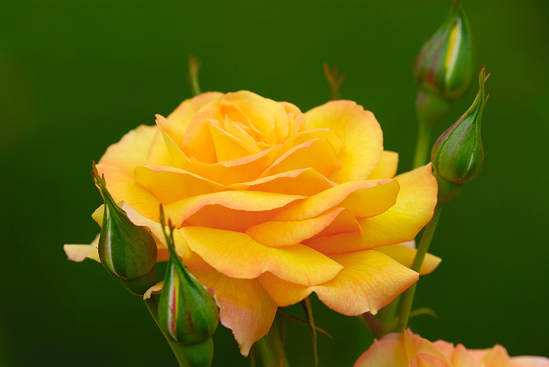 image0181