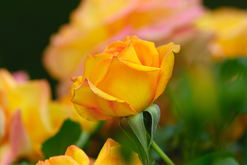 image0182