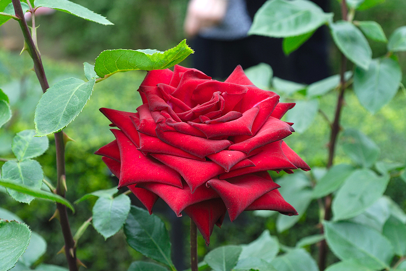 image0186