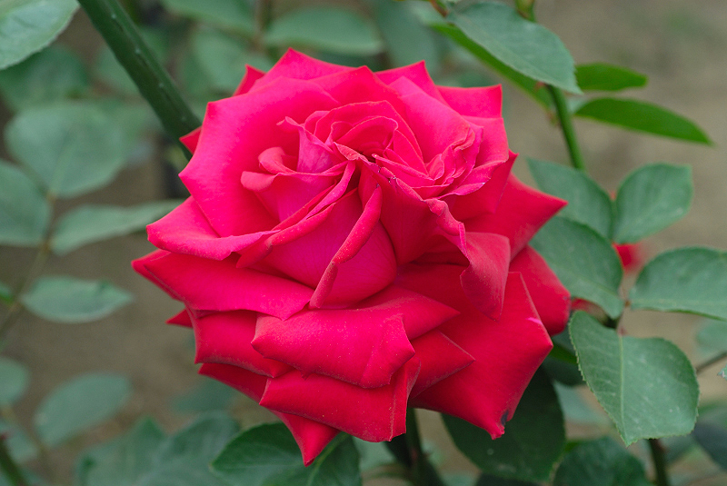image0187
