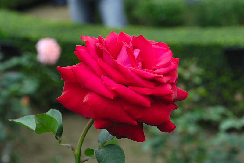 image0188