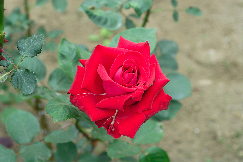 image0189