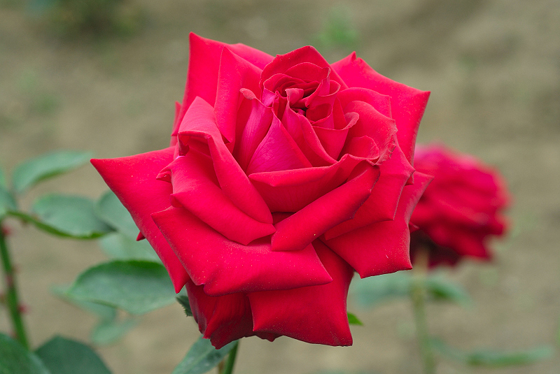 image0191