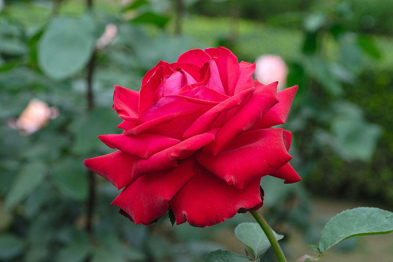image0192