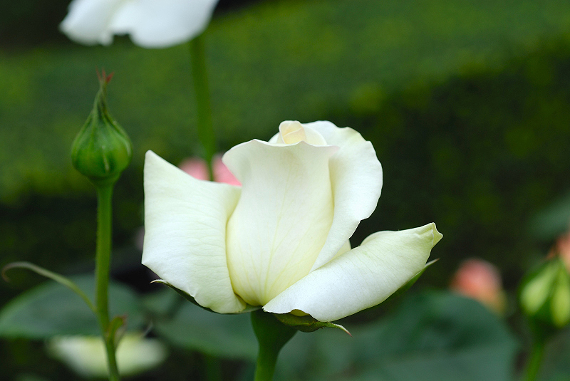 image0193