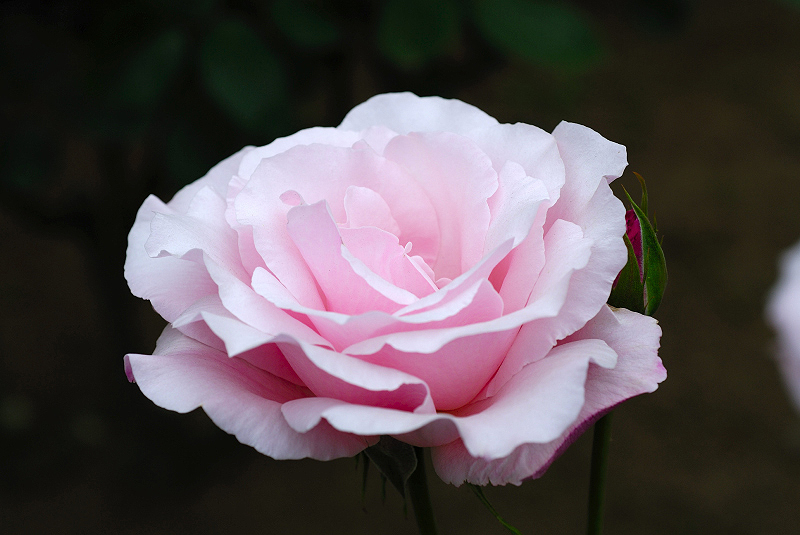 image0199
