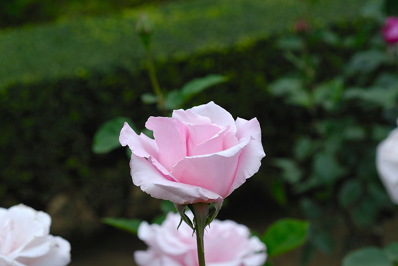 image0201