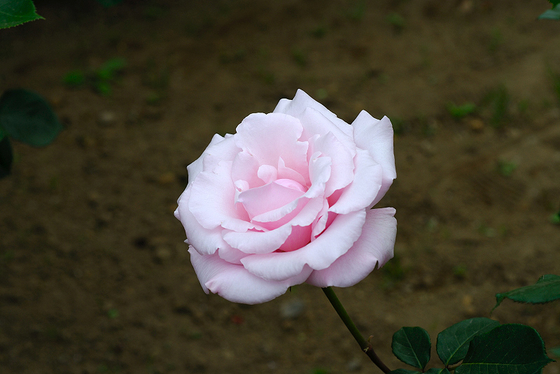 image0202