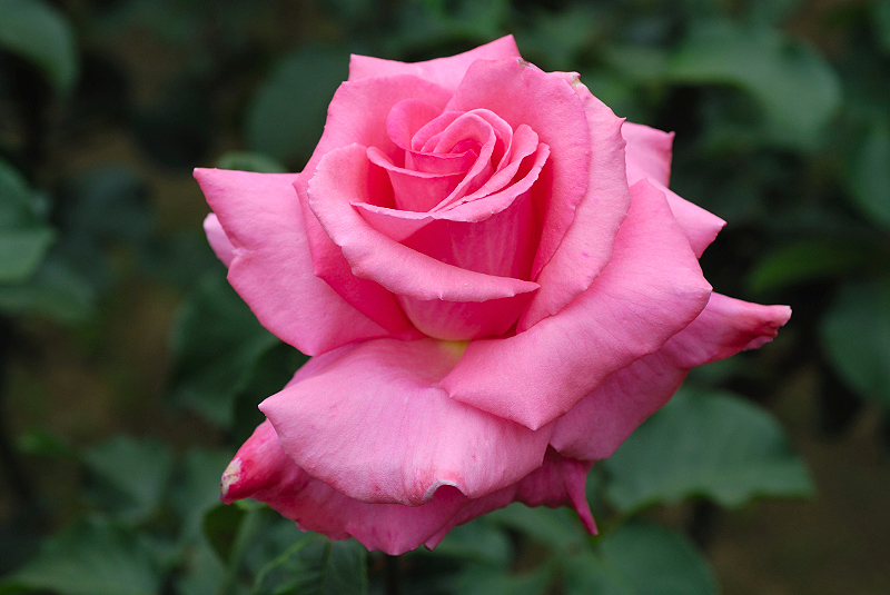 image0203