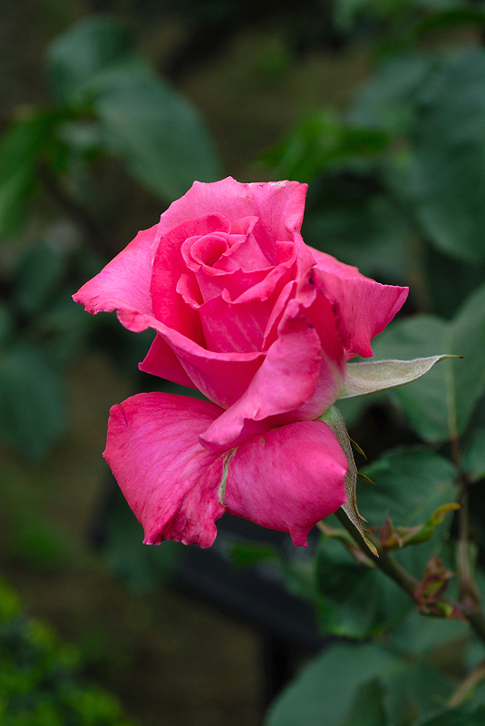image0205