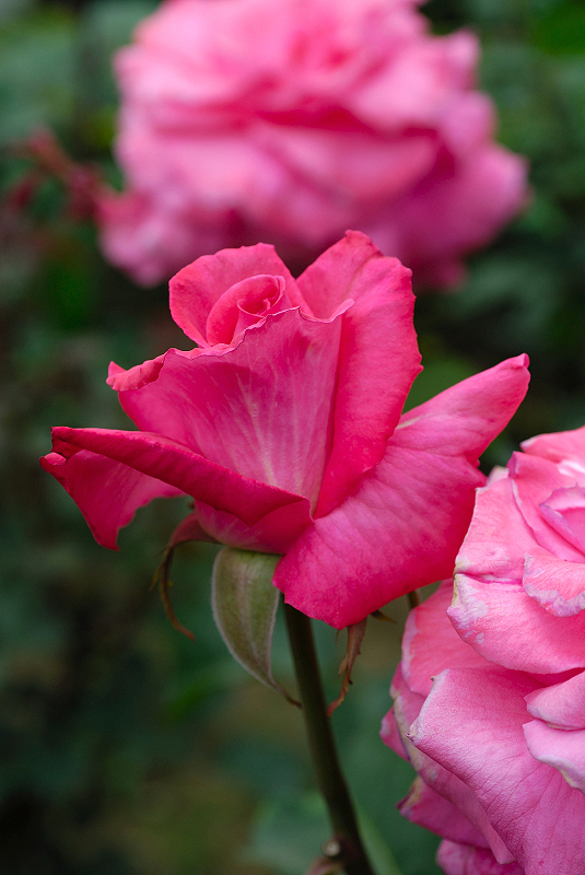 image0206