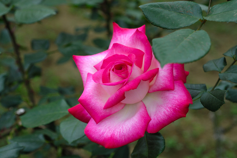 image0209