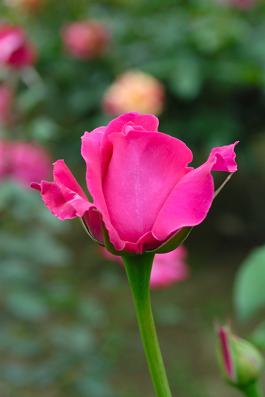 image0210