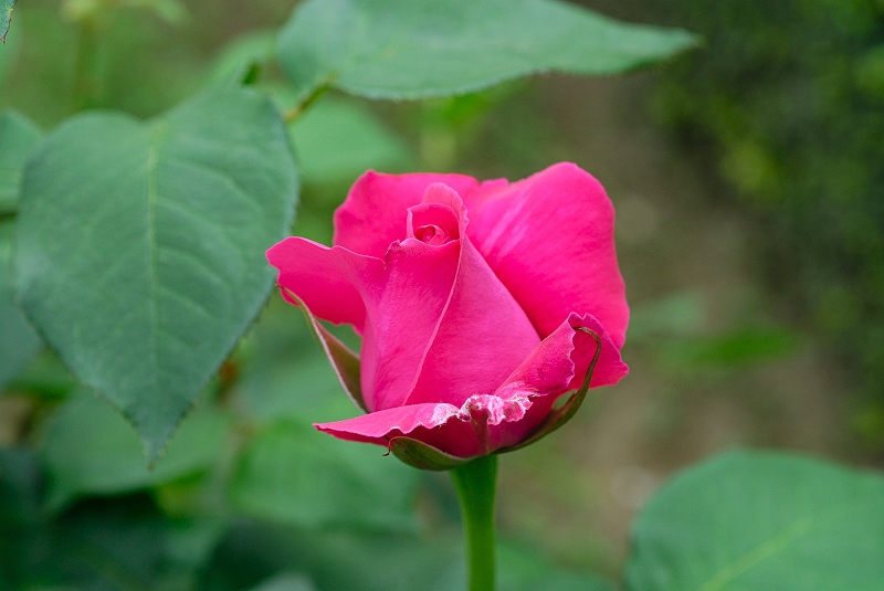 image0211