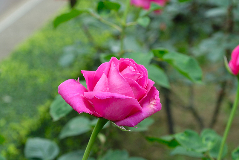 image0212