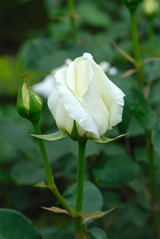 image0216