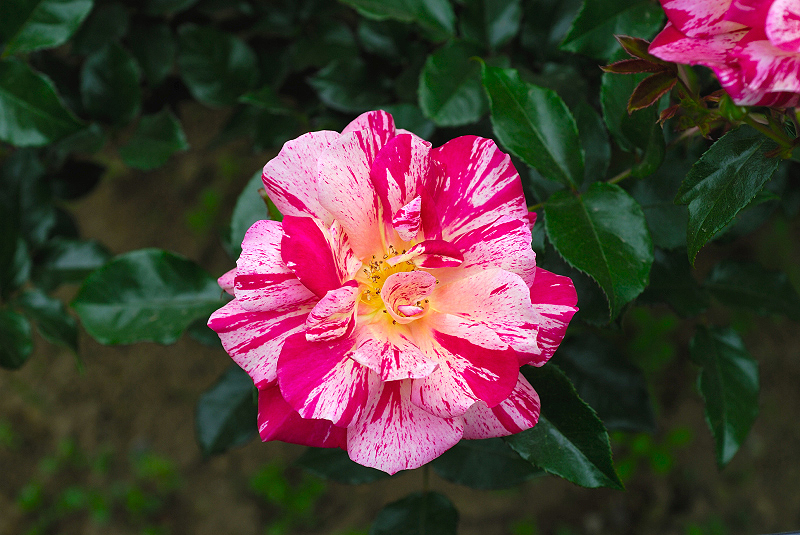 image0217
