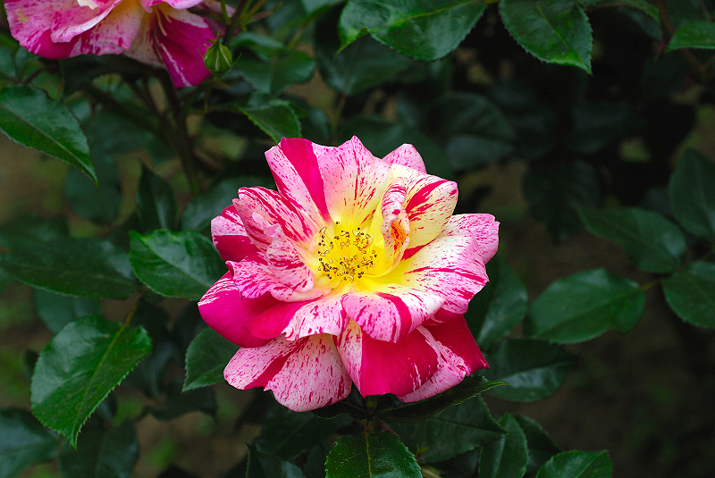 image0218