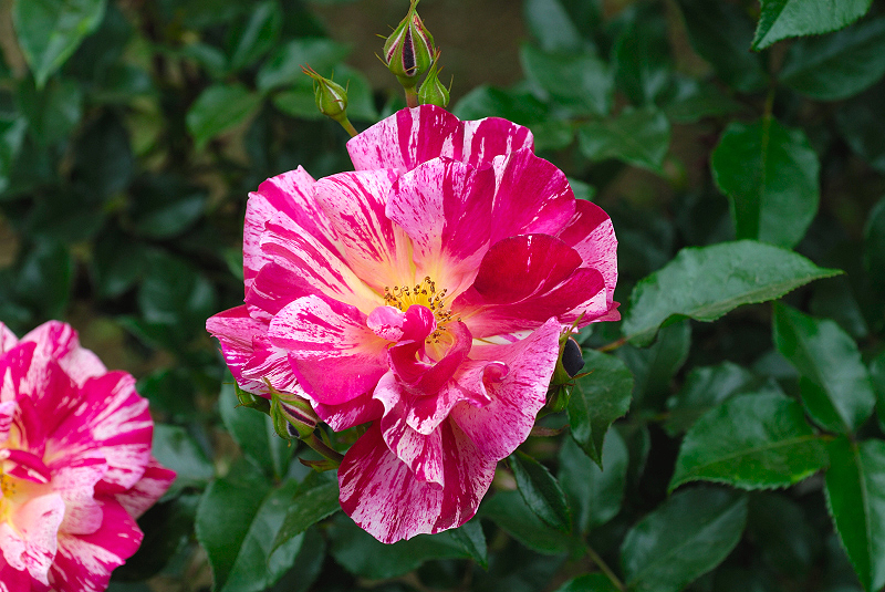 image0219