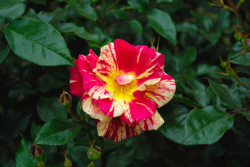 image0220