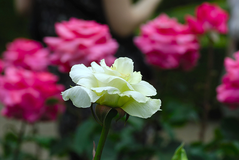 image0222