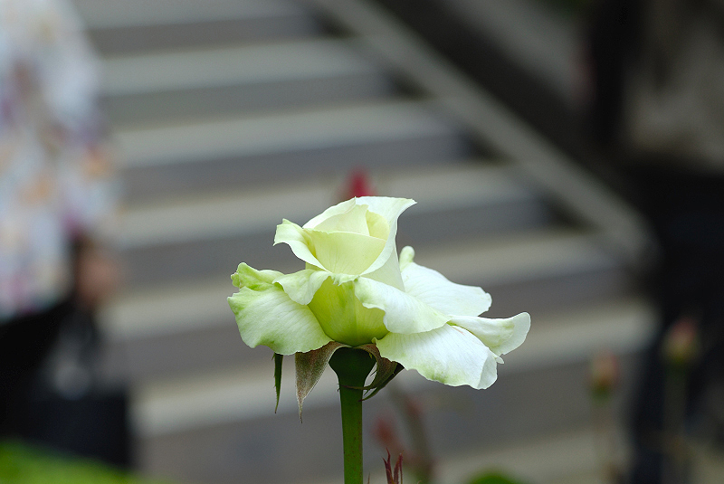 image0223