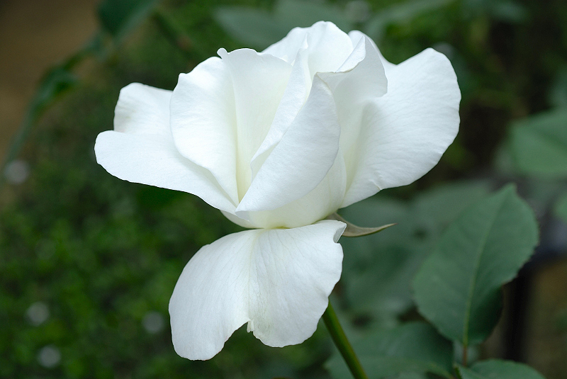 image0224