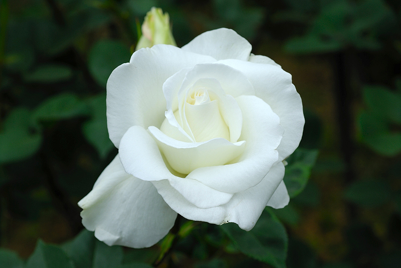 image0227