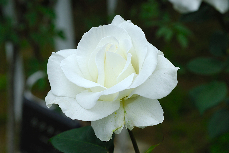 image0228