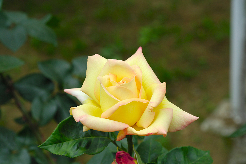 image0231