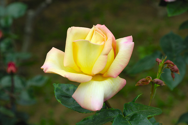 image0232