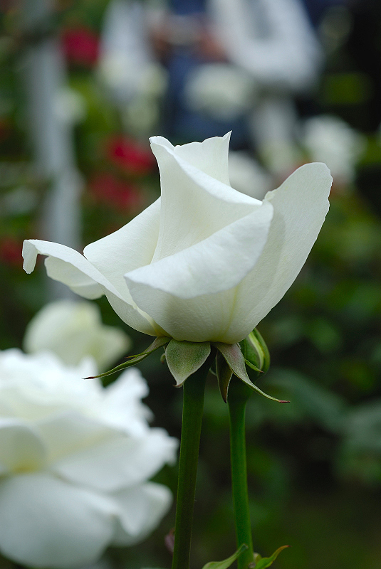 image0240