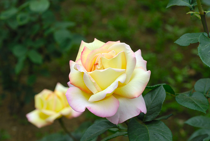 image0242