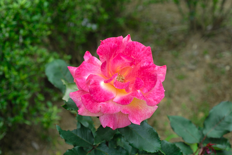 image0244