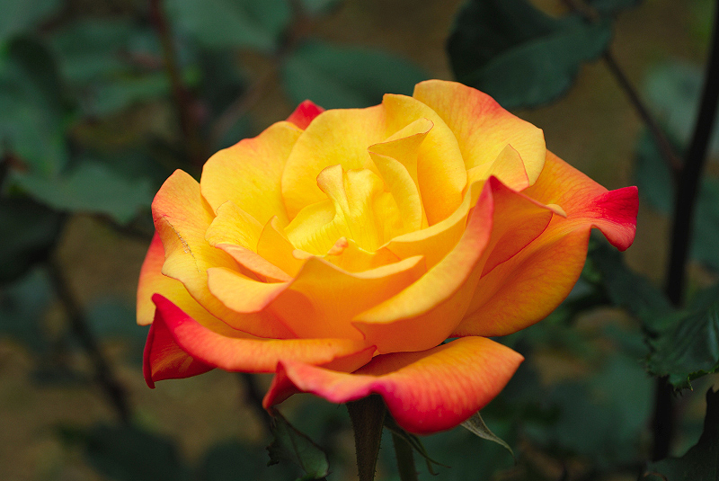 image0245