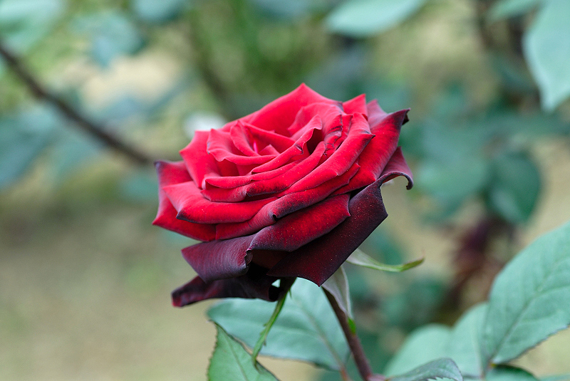image0248