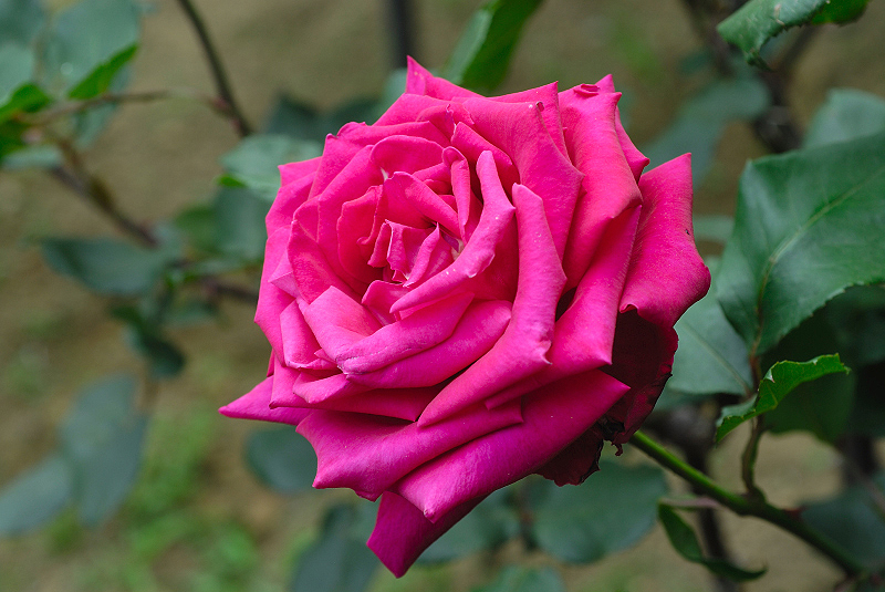 image0249