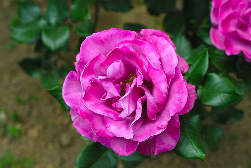 image0254