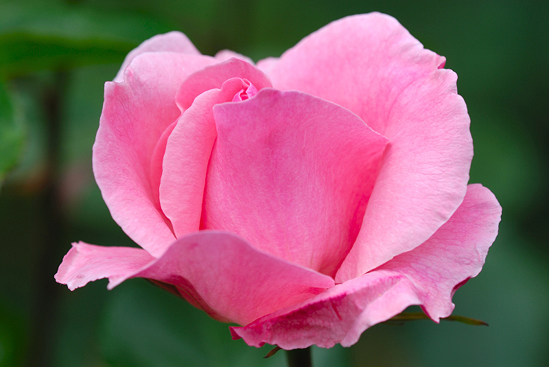 image0257